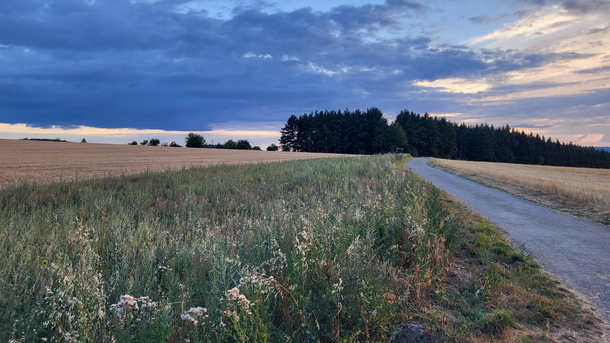Rundweg_Mertesdorf_1