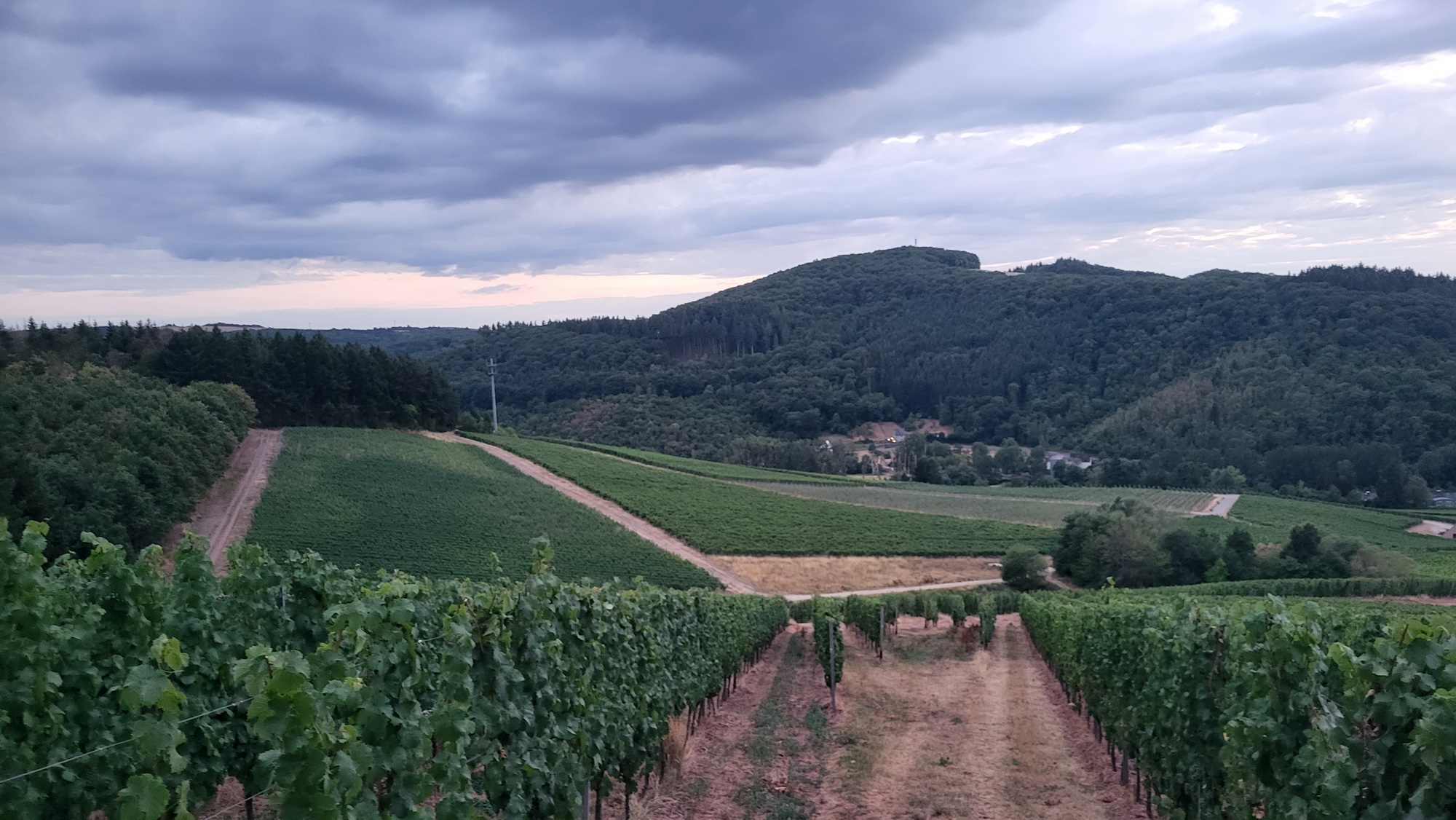 Rundweg_Mertesdorf_3